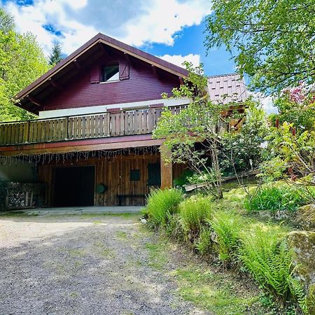 Les Cimes Blanches Cledicihome Chalet 10 Pers Spa & Grand Terrain 4 Minutes Des Pistes La Bresse Eksteriør billede