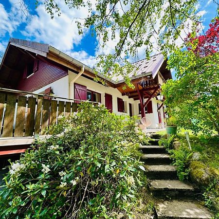 Les Cimes Blanches Cledicihome Chalet 10 Pers Spa & Grand Terrain 4 Minutes Des Pistes La Bresse Eksteriør billede