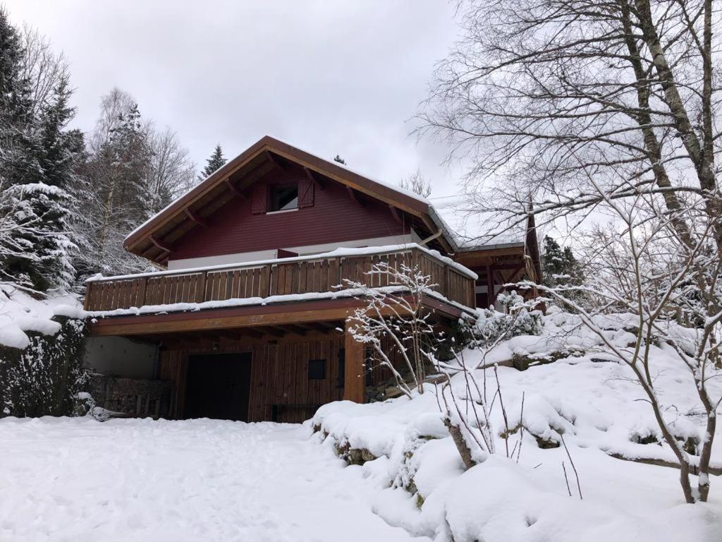 Les Cimes Blanches Cledicihome Chalet 10 Pers Spa & Grand Terrain 4 Minutes Des Pistes La Bresse Eksteriør billede