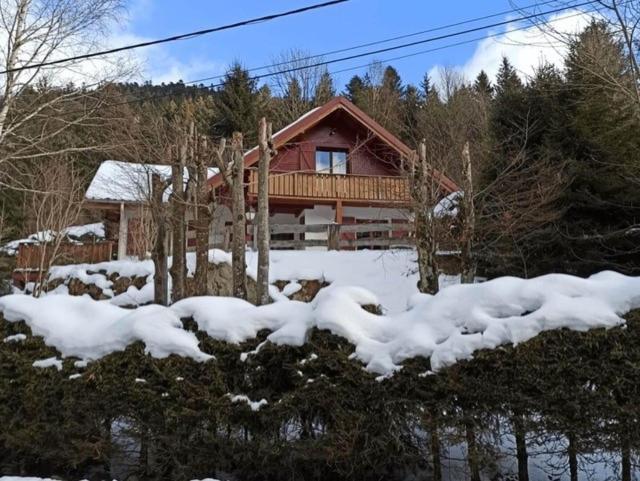 Les Cimes Blanches Cledicihome Chalet 10 Pers Spa & Grand Terrain 4 Minutes Des Pistes La Bresse Eksteriør billede