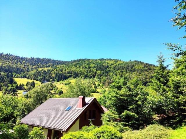 Les Cimes Blanches Cledicihome Chalet 10 Pers Spa & Grand Terrain 4 Minutes Des Pistes La Bresse Eksteriør billede