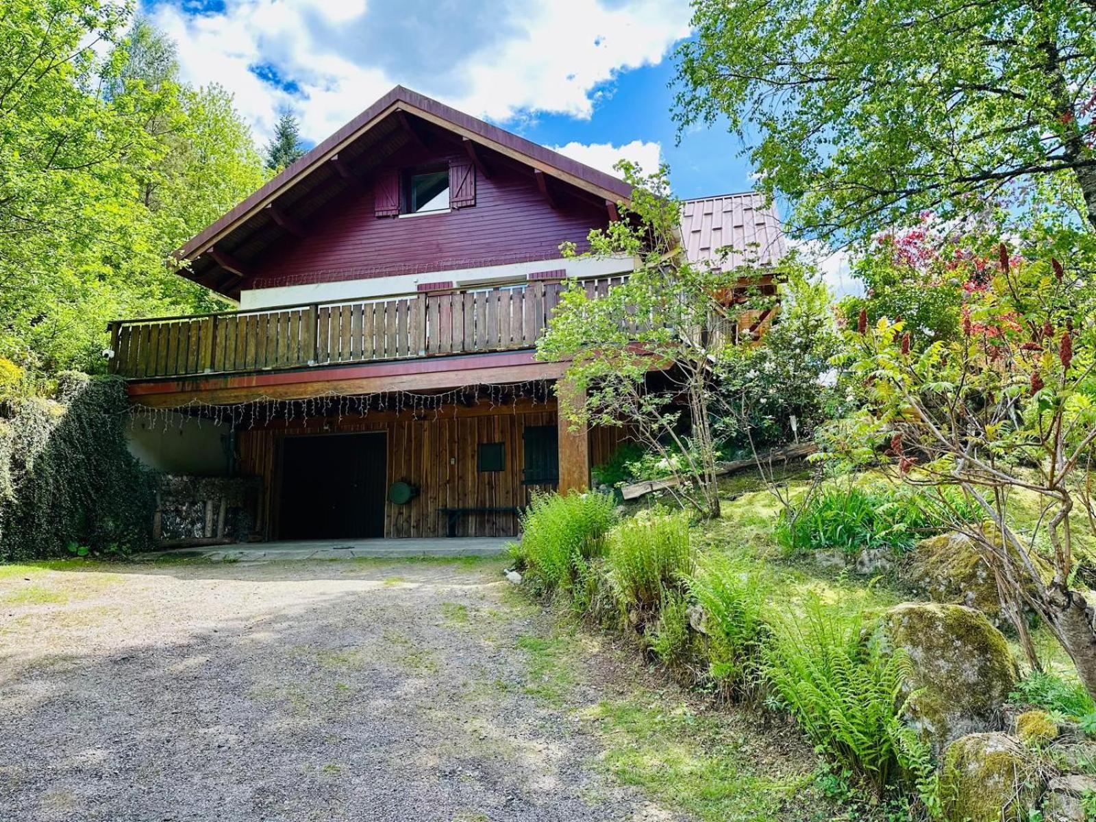 Les Cimes Blanches Cledicihome Chalet 10 Pers Spa & Grand Terrain 4 Minutes Des Pistes La Bresse Eksteriør billede